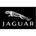 Jaguar Jaguar