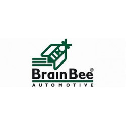 Mise à jour Brainbee 12+